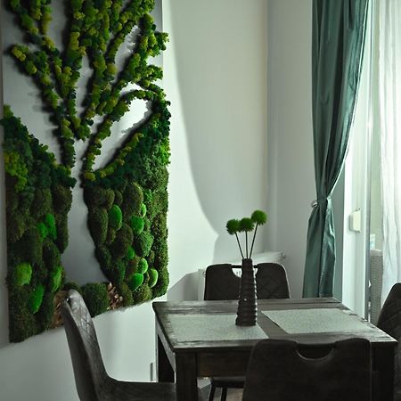 Mirvana Apartments Metheor Executive Suite تيميشورا المظهر الخارجي الصورة